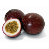 20 Sementes Fruta Maracuja Roxo Passiflora Edulis P Mudas