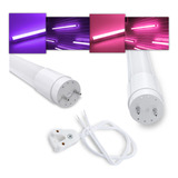20 Tubular Led T8 9w 60cm Bivolt Rosa Roxa 20 Soquetes