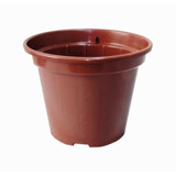 20 Vasos Pote 15 Cor Marron Rosa Do Deserto Sementes Flores