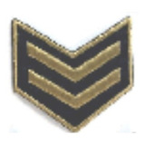 200 Patch Bordado Divisa Emblema Militar