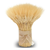 200 Galhos Trigo Seco 100cm Decoração Convites Arranjo Haste Cor Bege