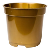 Dourado