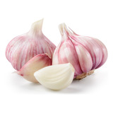 200 Sementes Mudas De Alho Gigante Rosa Manual