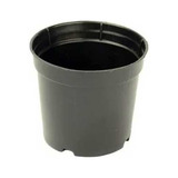 200 Vasos Pote 6 Plástico Rígido Preto P Suculentas E Mudas