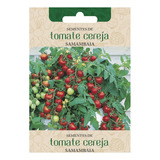 202 Sementes De Tomate Cereja Samambaia