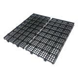 25x50