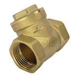 20x Válvula De Retenção Horizontal Metal 1 Latão Portinhola