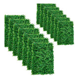 Jardim