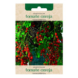 211 Sementes De Tomate Cereja Samambaia Frete Gratis Brasil