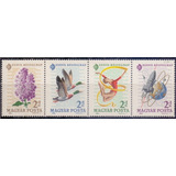 Astronáutica'64