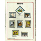 Filhotes