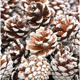 Artesanato