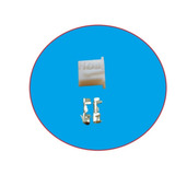 Femea