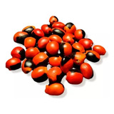 Candomblé