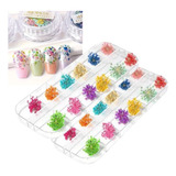 24 Unidade Flor Seca Natural Encapsulamento Unhas Decoração