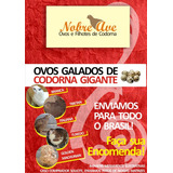 Gigantes