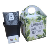 25 Kits Plantio Semente Mágica Lembrancinhas Ecológicas