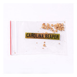 25 Sementes Da Pimenta Carolina Reaper Chocolate Verdadeira