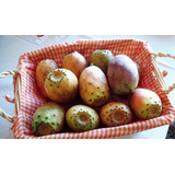 25 Sementes De Figo Da Índia Cacto Frutas