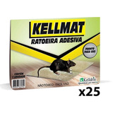 Rato