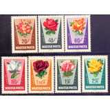 25741 Hungria Flores Rosa