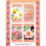 25906 Tanzania Flores