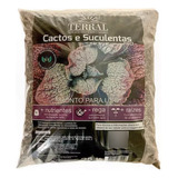 Cactos