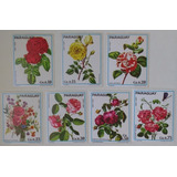26435 Paraguay Lote Rosas Luto Nacional Porto Portugal