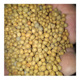 2kg Adubo Fertilizante Osmocote 15-9-12 Rosa Do Deserto Etc