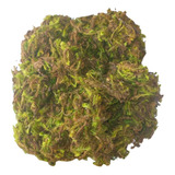 2kg Musgo Verde Desidratado Decoração Arranjos Flores