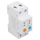 2P AC 230V 63A Din Rail Disjuntor Smart WIFI Interruptor De Relé De Tempo APP Interruptor De Controle Remoto