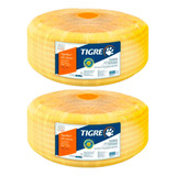Tigre