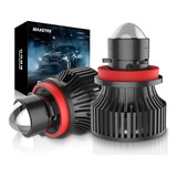 Bulb