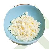 2x Kefir De Leite Bichinho Do Iogurte Mudas De Kefir Em Grãos De Leite Real