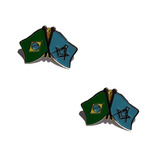 2x Pin Maçonaria Boton Esquadro Compasso Bandeira Brasil