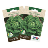 Topseed