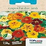 2x Sementes De Capuchinha Anã Sortida Flores Jardins Vasos