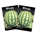 Feltrin