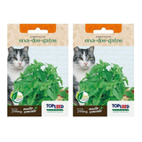 Topseed