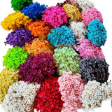 3 000 Sempre Viva Florzinha Colorida Para Arranjos 10 Buquês