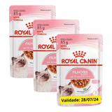 3 Alimentos Royal Canin Feline Kitten Para Gato Filhotes 85g