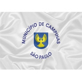 3 Bandeiras: 1 Campinas, 1 São Paulo E 1 Brasil 1x1,45m