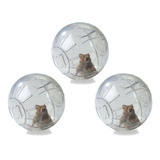 3 Bola Acrílica Hamster Roedores Exercício