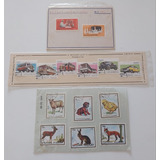 Animais