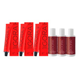 3 Colorações Igora Royal + 3 Ox De 20 Vol Escolha A Cor
