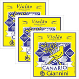 Canario
