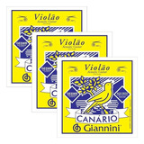 Canario