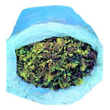 3 Kg / 50 Litros (saco Grande) Musgo Verde Sphagnum 100%puro