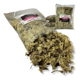 Sphagnum