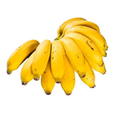 Plantio